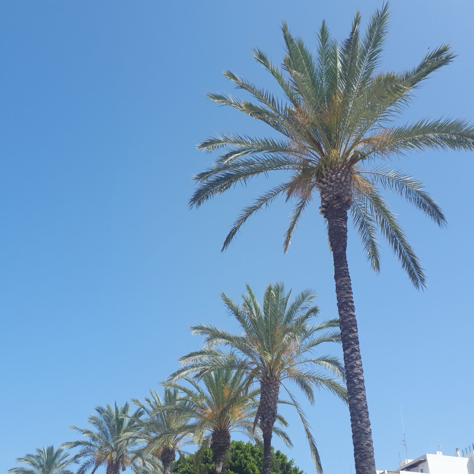 Kredit für einen Urlaub